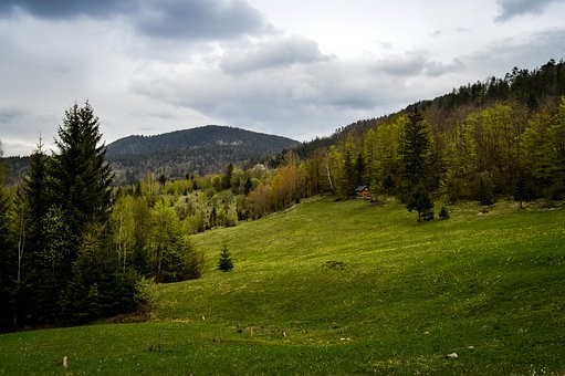 Photos from #Serbia #Travel - Image 168