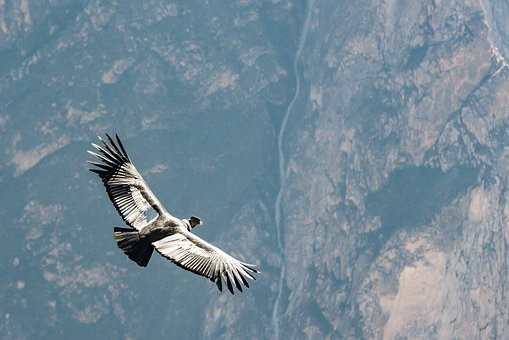 Photos from #Peru #Travel - Image 127