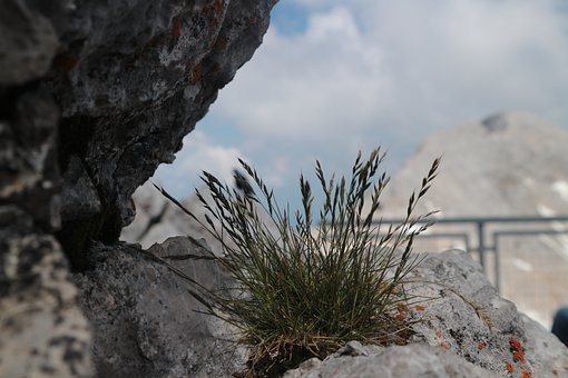 Photos from #Austria #Travel - Image 156