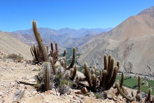Photos from #Chile #Travel - Image 58