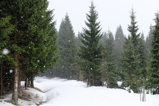 Photos from #Czech republic #Czechia #Travel - Image 188