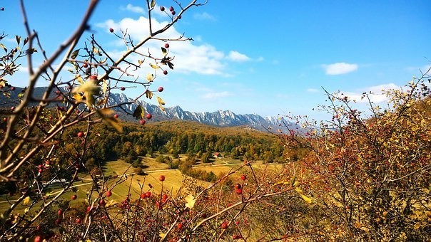 Photos from #Serbia #Travel - Image 134