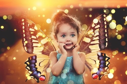صور #فراشات #فراشة #butterfly #حيوانات #طبيعة - 25
