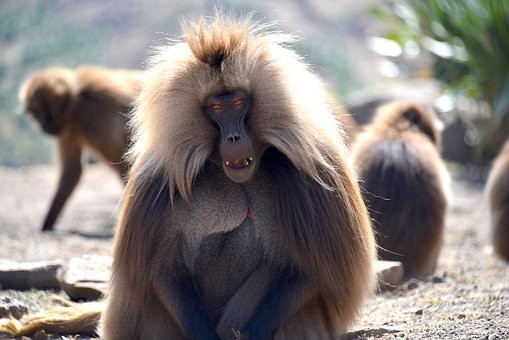 Photos from #Ethiopia #Travel - Image 63