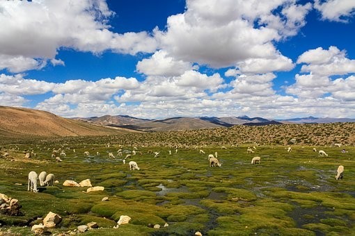 Photos from #Peru #Travel - Image 124
