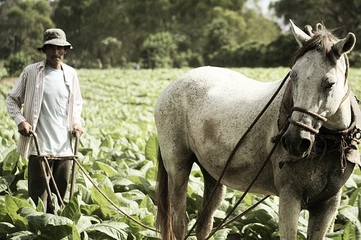 Photos from #Guatemala #Travel - Image 72
