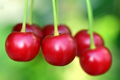 صور #فواكه #Fruits منوعة - 85