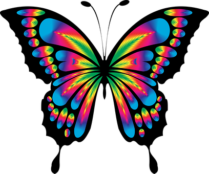 صور #فراشات #فراشة #butterfly #حيوانات #طبيعة - 66