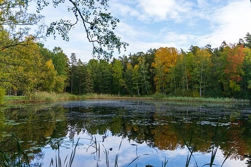 Photos of #Sweden #Travel - Image 63