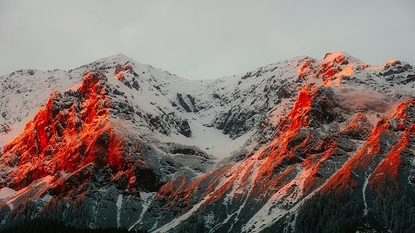 Photos from #Austria #Travel - Image 52
