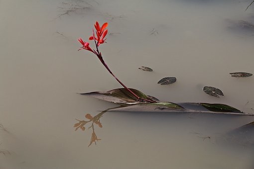 Photos from #south #Korea #Travel - Image 37