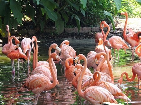 Photos from #Singapore #Travel - Image 164