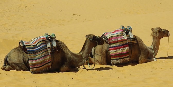 Photos from #Tunisia #Travel - image 66