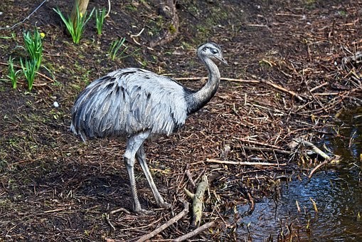 Photos from #Bolivia #Travel - Image 9