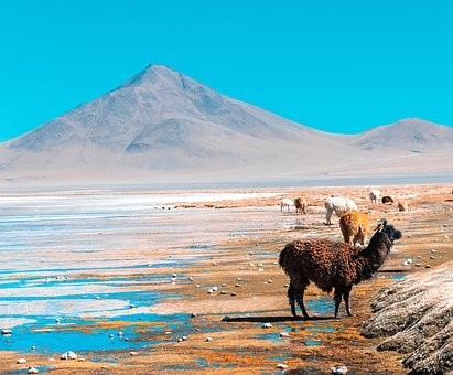 Photos from #Bolivia #Travel - Image 143