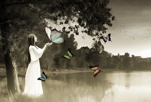 صور #فراشات #فراشة #butterfly #حيوانات #طبيعة - 102