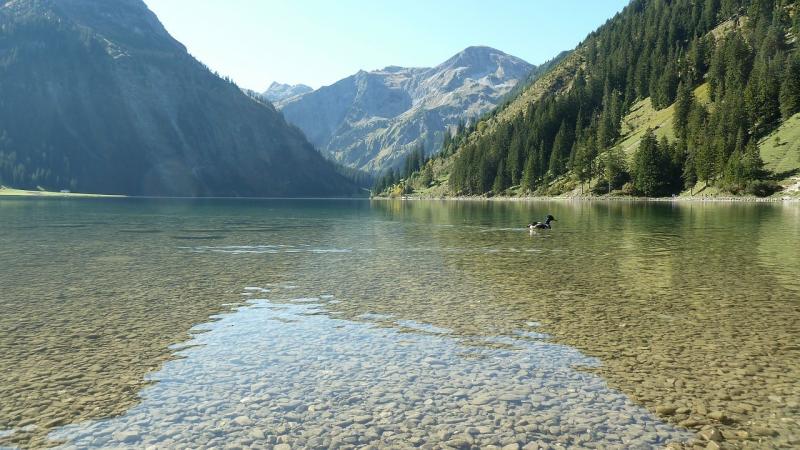 صور لـ #تيرول #انعكاس_الماء #Tannheimertal