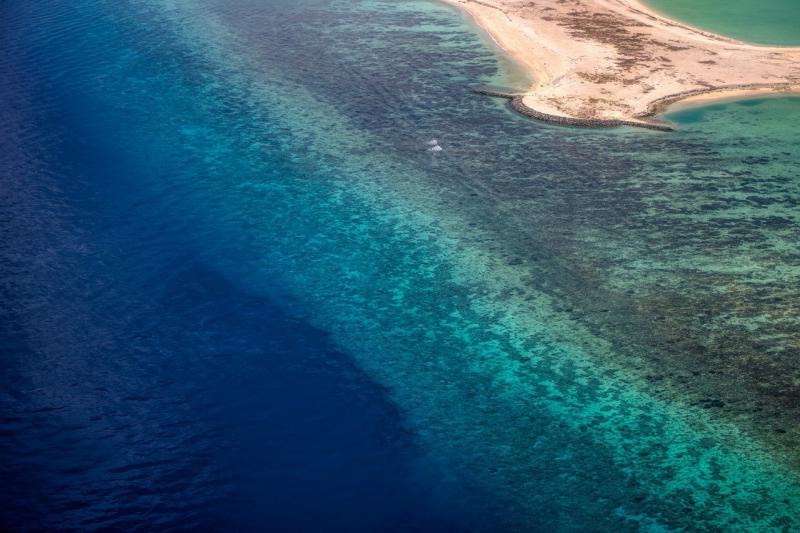 صور لـ #البحيرة #جزر_المالديف #اللوحة_البحرية