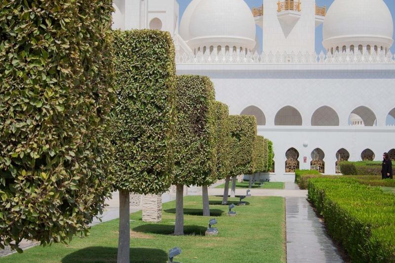 صور لـ #Abu_Dhabi #مسجد #هندسة_معمارية #مسلمون #حديقة
