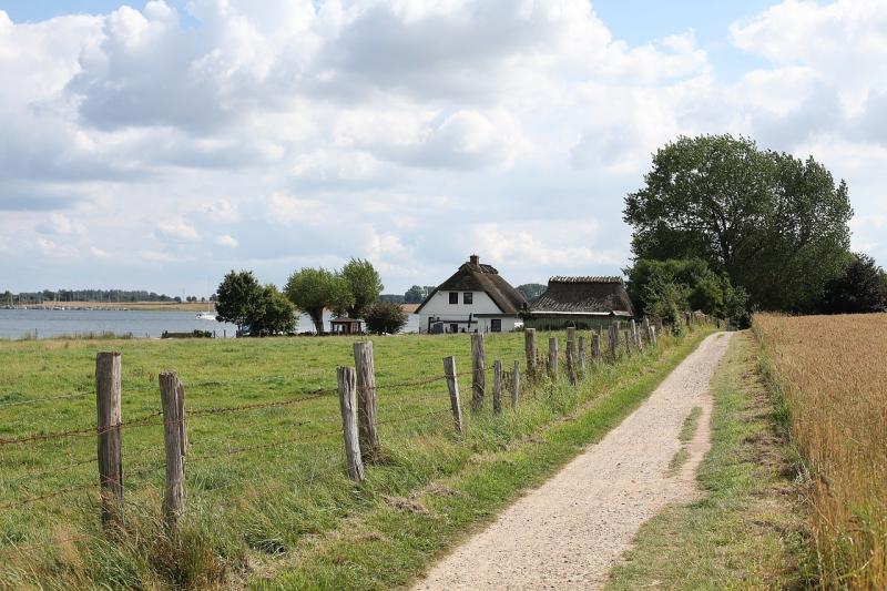 صور لـ #سمك #Schlei #مصرف #مكلنبورغ #امن #تنزه