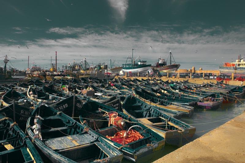 صور لـ #الصويرة #المغرب #ساحل #قوارب_في_الميناء