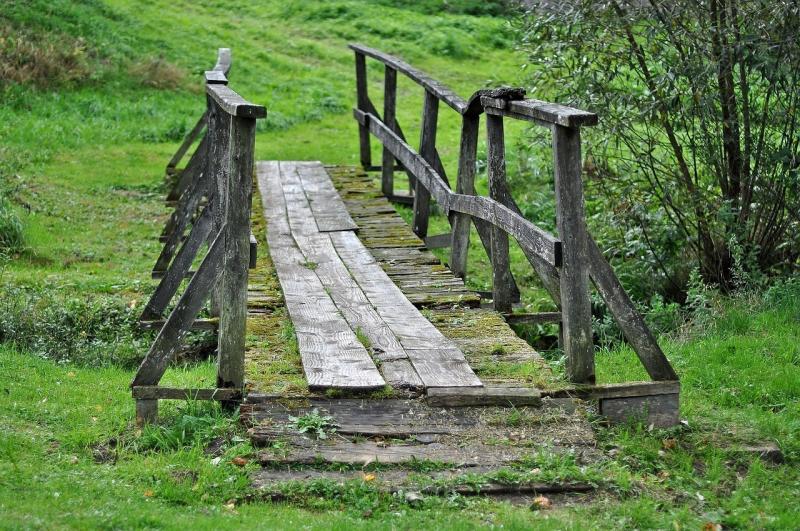 صور تحتوي #Bieszczady #بولندا #جسر #جسر_خشبي #انتقال