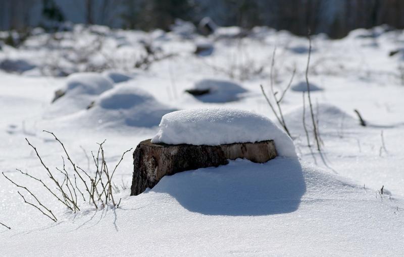 صور لـ #صقيع #ثلج #بيال #Snowdrifts #شتاء