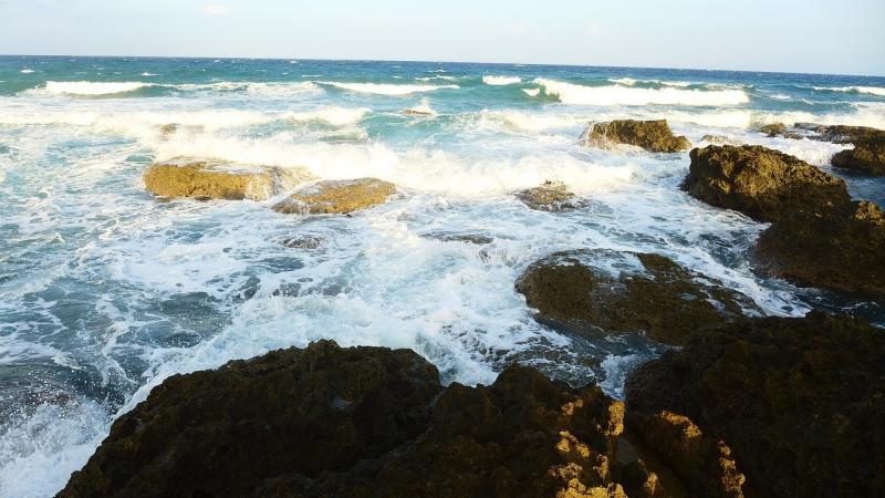 صور لـ #يوم_ازرق #تايوان