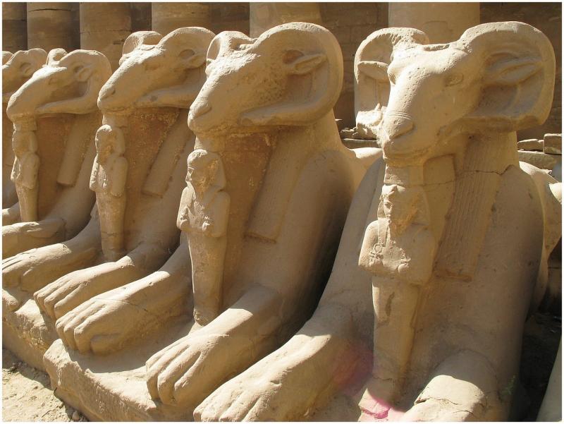 صور لـ #صدغ #مصر #نيل #الكرنك #الأقصر #الفرعونية