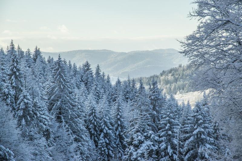 صور لـ #Beskids
