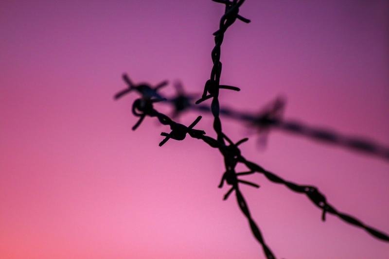 صور تحتوي #مزاج #طبيعة #الخلفية #الأسلاك_الشائكة #العواطف