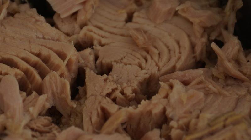 صور لـ #مأكولات_بحرية #الطبخ #معلب #تونة #سمك #طعام #أرز