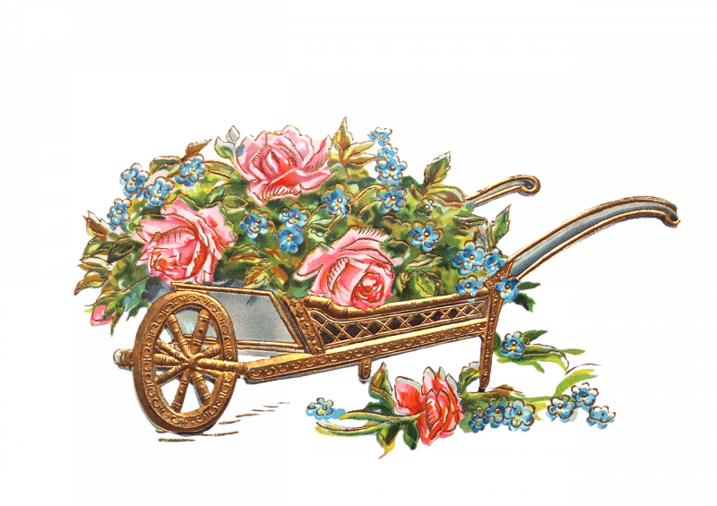 صور تحتوي #عربة_يدوية #لوطي #زهور #ذهب #معزول #ورود