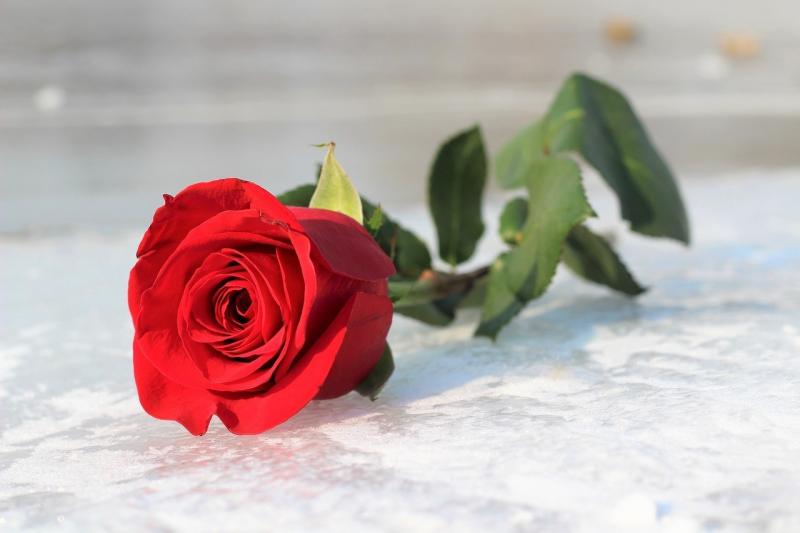 صور لـ #رومانسي #رمز_الحب #بحيرة_متجمدة