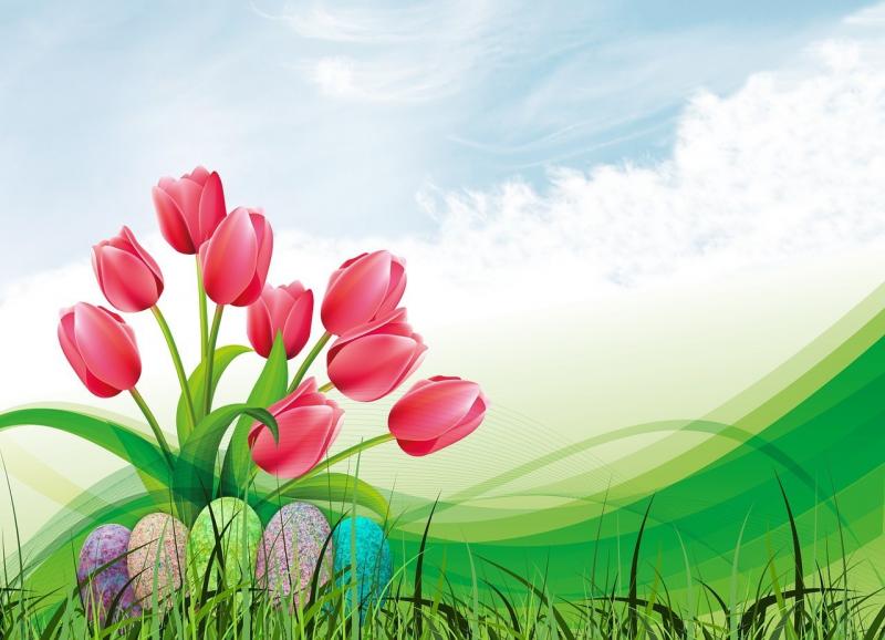صور لـ #الخزامى #بياني #سماء #ربيع #بيضة_عيد_الفصح #عيد_الفصح #نجيل