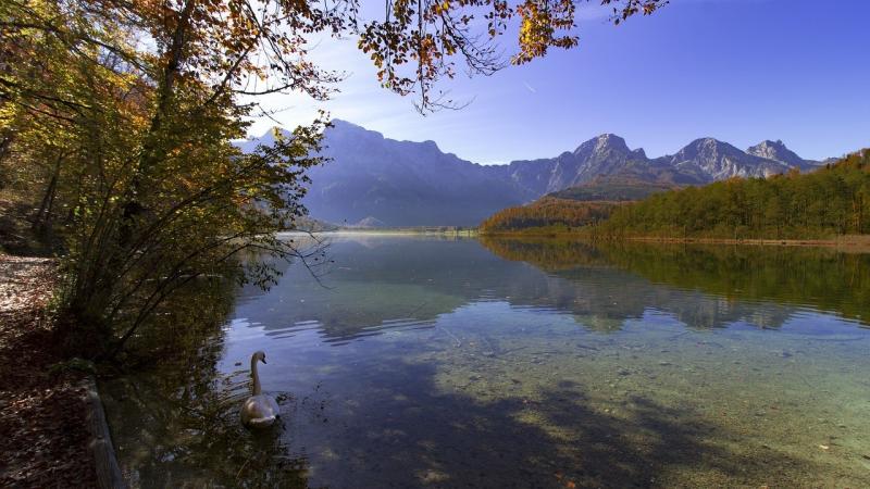 صور لـ #Almsee #المناظر_الطبيعيه #مزاج #التنزه #النمسا_العليا