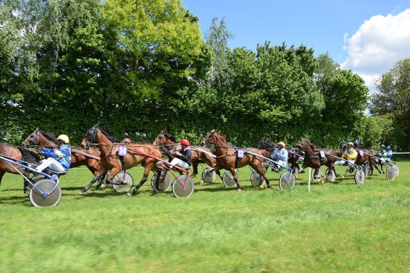 صور لـ #مضمار #خيل #سباق #حصان #الفروسية #رماحة