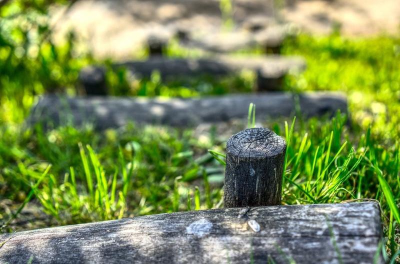 صور لـ #قبيلة #بريد #مستوى #سجل #أخضر #درج #نجيل #كومة