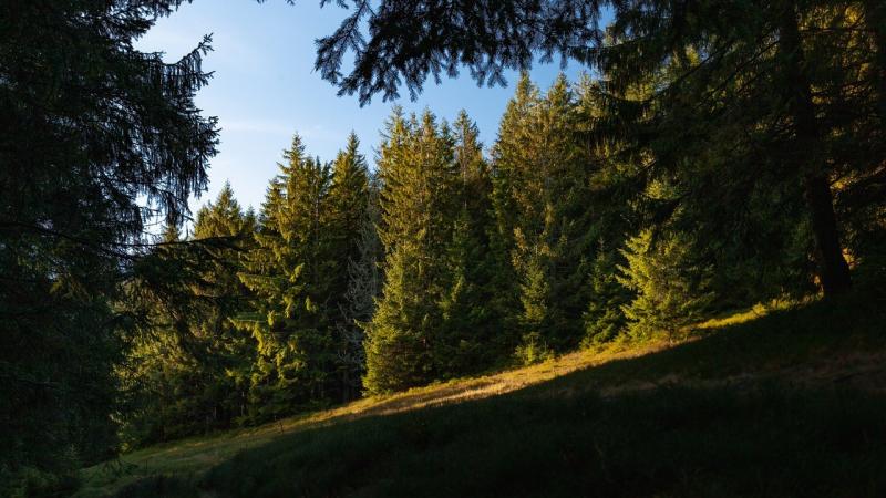 صور لـ #الجبال #Beskids #المناظر_الطبيعيه #بولندا