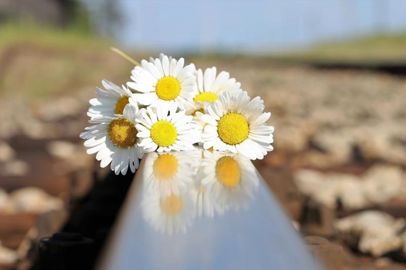 صور لـ #وقف_الشباب_الانتحار #مأساة