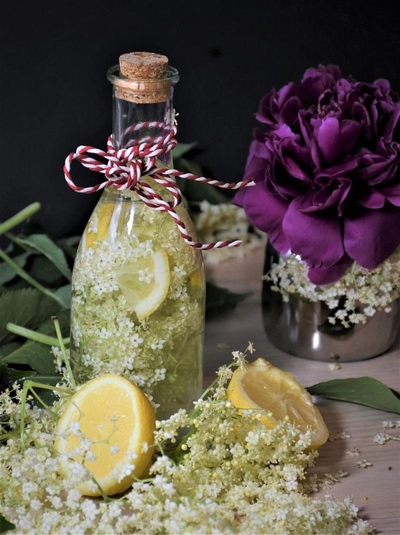 صور لـ #شفاء #Elderberries #المسنين #التوت #حامل_بوش #صرخة