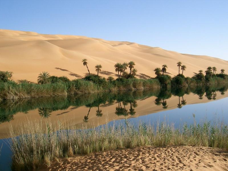 صور لـ #صحراء #واحه #أشجار_النخيل #ليبيا #رمل #الكثبان