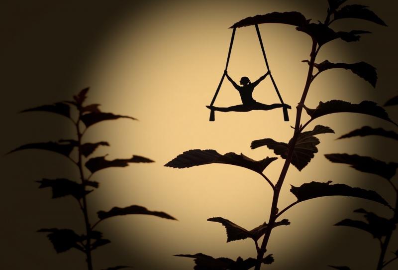 صور لـ #الشكل #الصور_الظلية #خيال_الظل #نبات #فنان #ظل