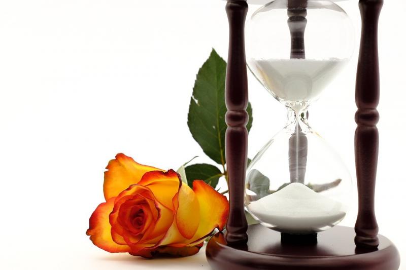 صور لـ #انتظر #الوردة #توقيت_البيض #زمن #روز_بلوم #الساعة_الرملية