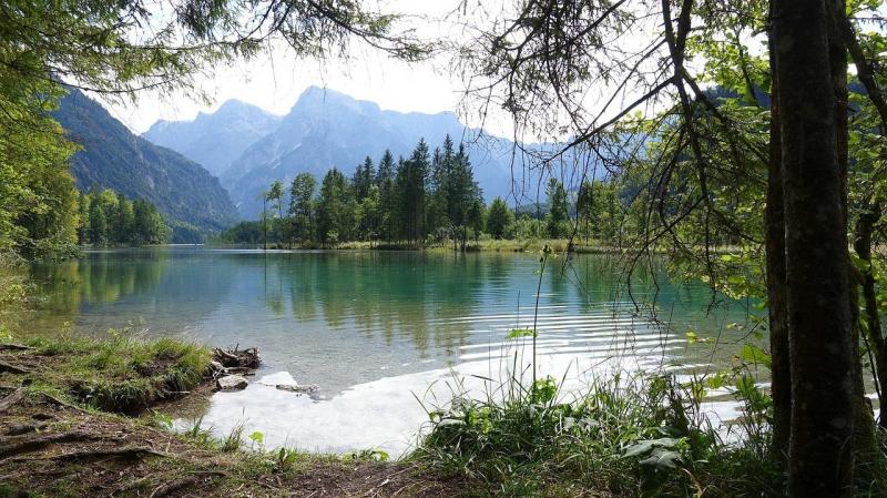 صور لـ #Almsee #مزاج #النمسا #تارن
