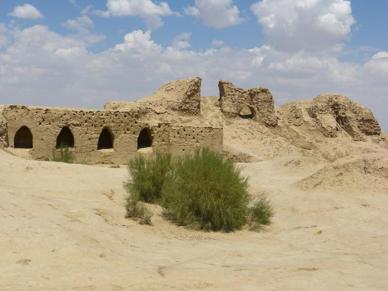 صور لـ #بخارى #صحراء #قديم #قلعة