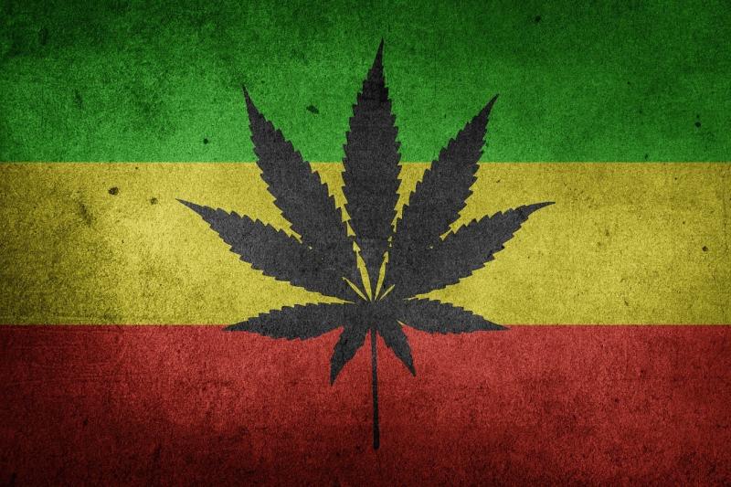 صور لـ #القنب #THC #دخان #عيدان #المخدرات #عشبة_ضارة #قنب_هندي