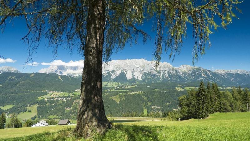 صور لـ #النمسا #المناظر_الطبيعيه #طبيعة #الجبال #جبل_Dachstein