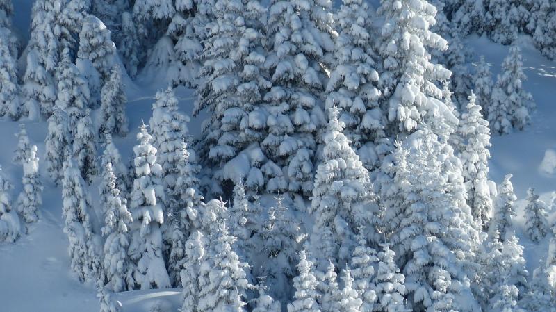 صور لـ #تيرول #شتاء #Tannheimertal #Backcountry_Skiiing