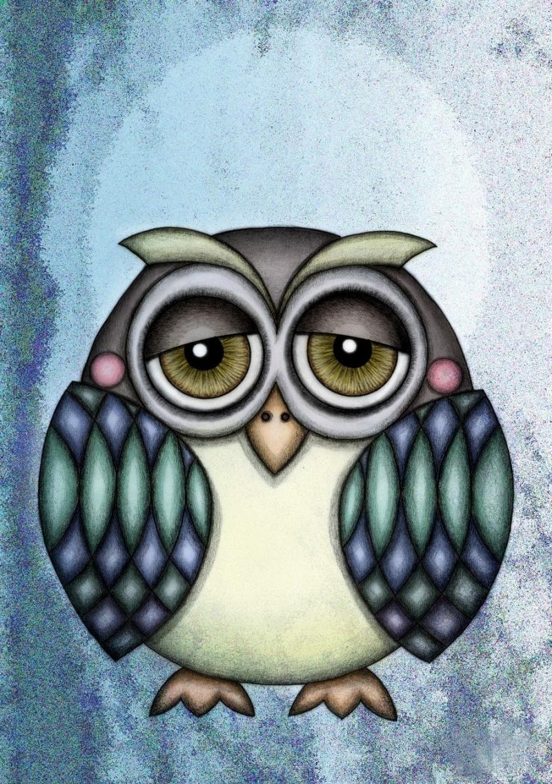 صور لـ #توضيح #رسم #بومة #افي